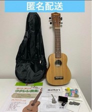 Ukulele beginner set