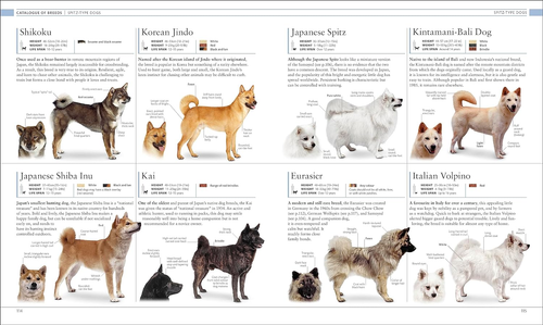 The Dog Encyclopedia: the Definitive Visual Guide - Picture 7 of 12
