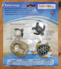 Life Cycle Of A Green Sea Turtle Safari Ltd NEW Toys Educational Figurines Kids