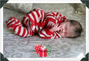 sadie by marissa may