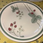 Wedgwood Raspberry Cane 10.5” Dinner Plates Set of 4+1 England Discontinued — photo 3