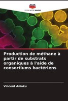 Vincent Aniaku | Production De MéThane à Partir De Substrats Organiques à...
