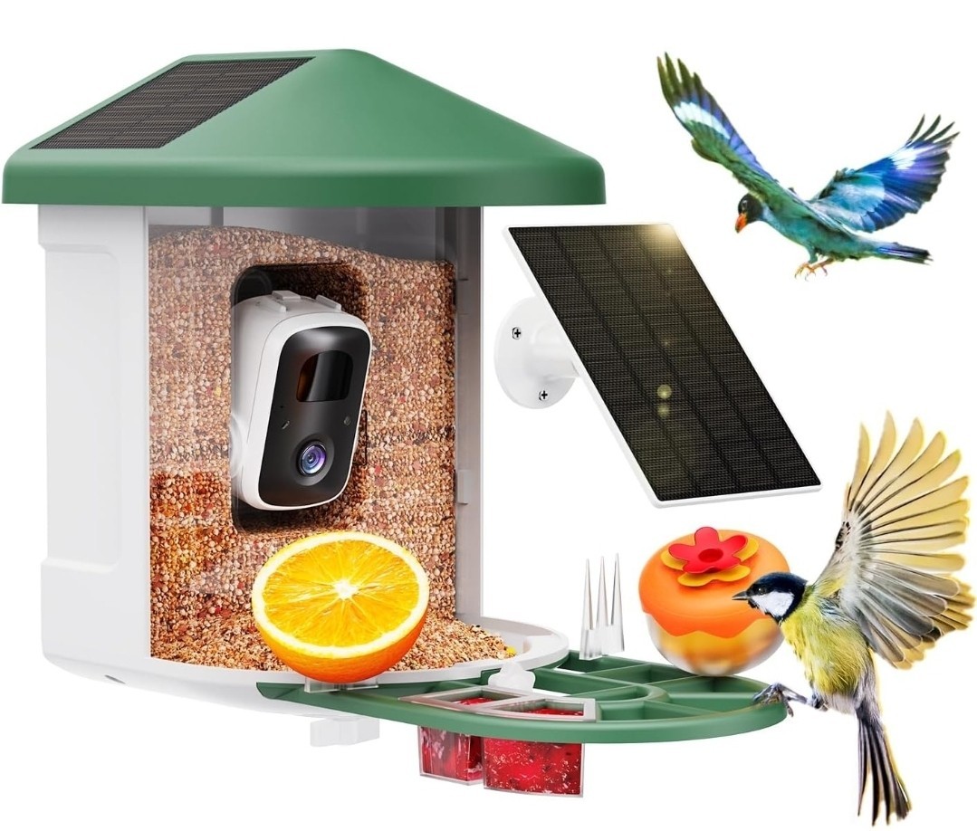 Bird Feeder with Camera Smart Bird House AI Identify Species 2k Cam Live View