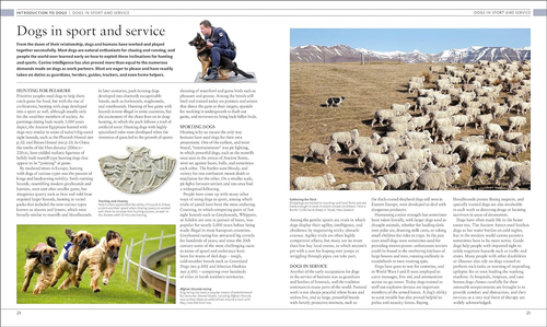 The Dog Encyclopedia: the Definitive Visual Guide - Picture 4 of 12