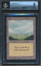 Beta Plains BGS 9 Graded Magic MTG (4663) -magicgraders-