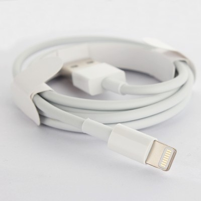 Original Pin auf USB Kabel für iPhone 11 12 Plus X SE iPad