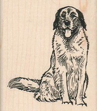 Panting Dog Rubber Stamp 2 1/2 x 2 3/4", Dog Stamp, Cute Dog