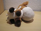 Bild 8 von 8