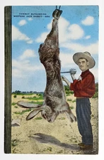 Cowboy Butchering Exaggerated Jack Rabbit Humor Comic Postcard c1940s Linen UNP