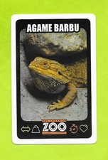 Carte Une saison au zoo - Agame barbu