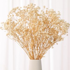 17 Inch Babys Breath Dried Flowers Bouquet 2oz Ivory White Floral Home Decor