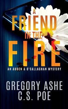 A Friend in the Fire (An Auden  OCallaghan Myster... | Buch | Zustand sehr gut
