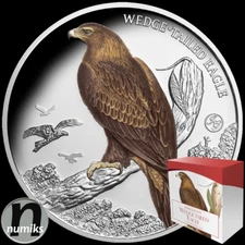 KEILSCHWANZADLER EAGLE John Goulds 2025 Niue - 1 Oz Silber PP Proof Farbe BOX