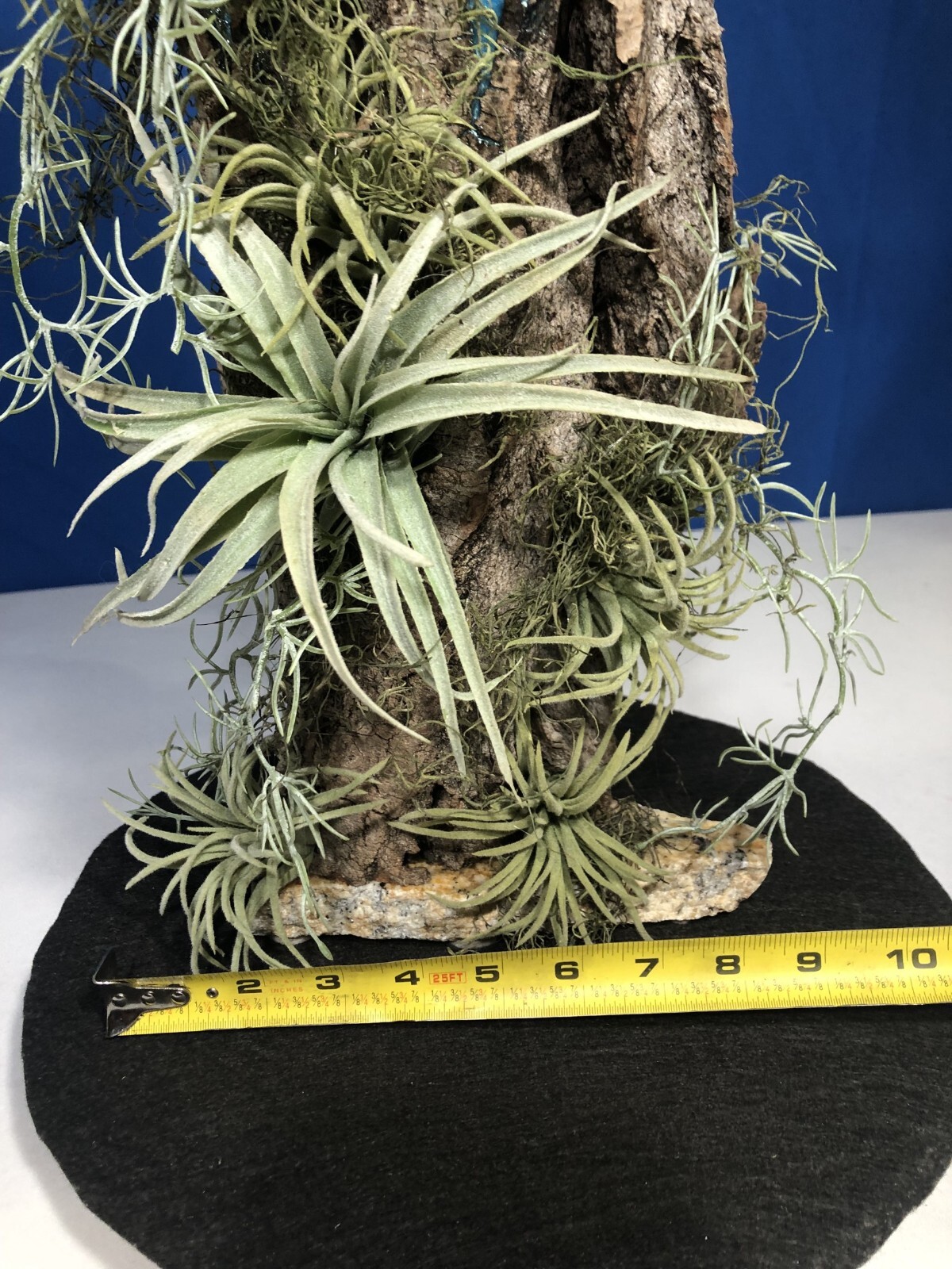 Picture 15 of 22