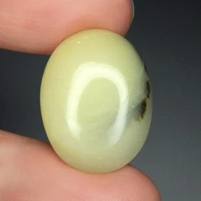 19.8ct Dendrite Yellow Opal Natural Earth Mined Unheated Oval Cab Australia