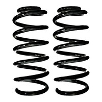 Fahrwerksfedern-Set Hinten Schraubenfeder Ø102Mm Spidan FüR U.A. Renault Clio