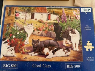 Hop BIG 500p jigsaw puzzel large pieces Cool Cats pre owned and complete.