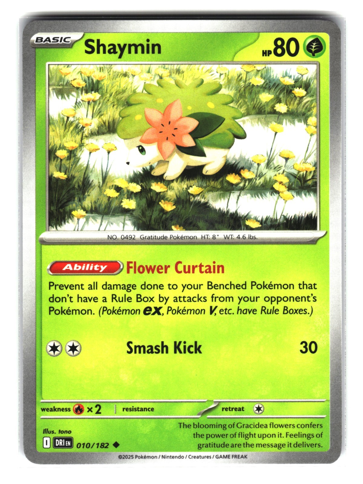 Shaymin 010/182 Pokemon Card NM