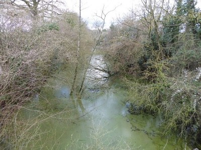 Photo 6x4 Disused Hereford and Gloucester Canal Ashperton The long defunc c2017
