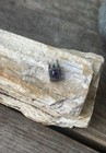 Lori Bonn Sterling Silver Pendant with Amethyst