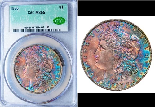 1886-P CAC MS65 MORGAN $ AWESOME MULTICOLOR VIBRANT RAINBOW TONING (VIDEO} **