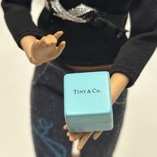 ebay category 262348 Barbie size 1/6