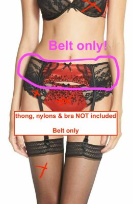 NWT $98 Chantelle Intimates [SZ 01] Satine Garter Belt in Black/Red #574