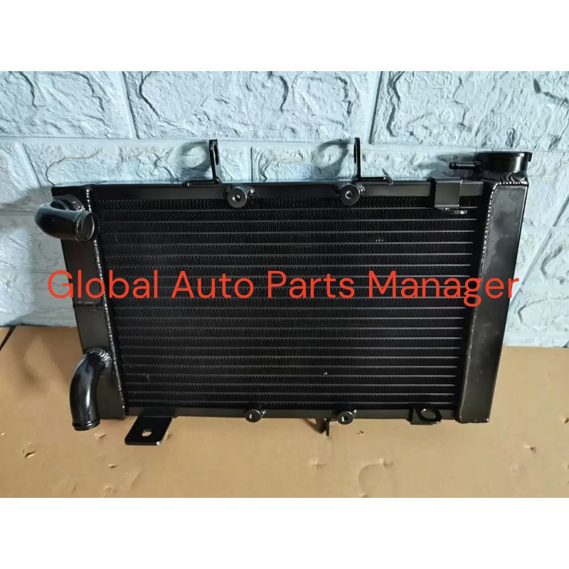 Performance Radiator for Triumph Trident 660 / Tiger 660