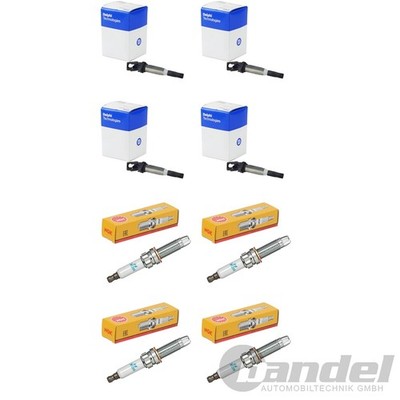 4x DELPHI ZÜNDSPULEN+4x NGK ZÜNDKERZEN passend für BMW N43 N46 1 3 5 16i 18i 20i