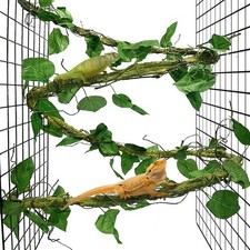VCEPJH Large Reptile Vines Thick Terrarium Plants 118 Inches Long Flexible Climb
