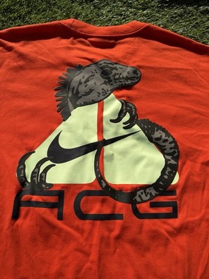 HJ0884-633 Men's XS Nike ACG Dri-FIT T-Shirt 'Iguana' Loose Fit | eBay