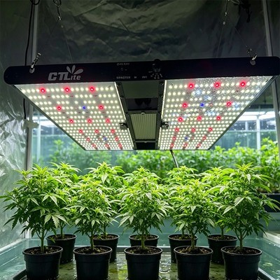 CTLite P2000 LED Grow Light 200W Full Spectrum Veg Flower for All Plants 4x4 3x3