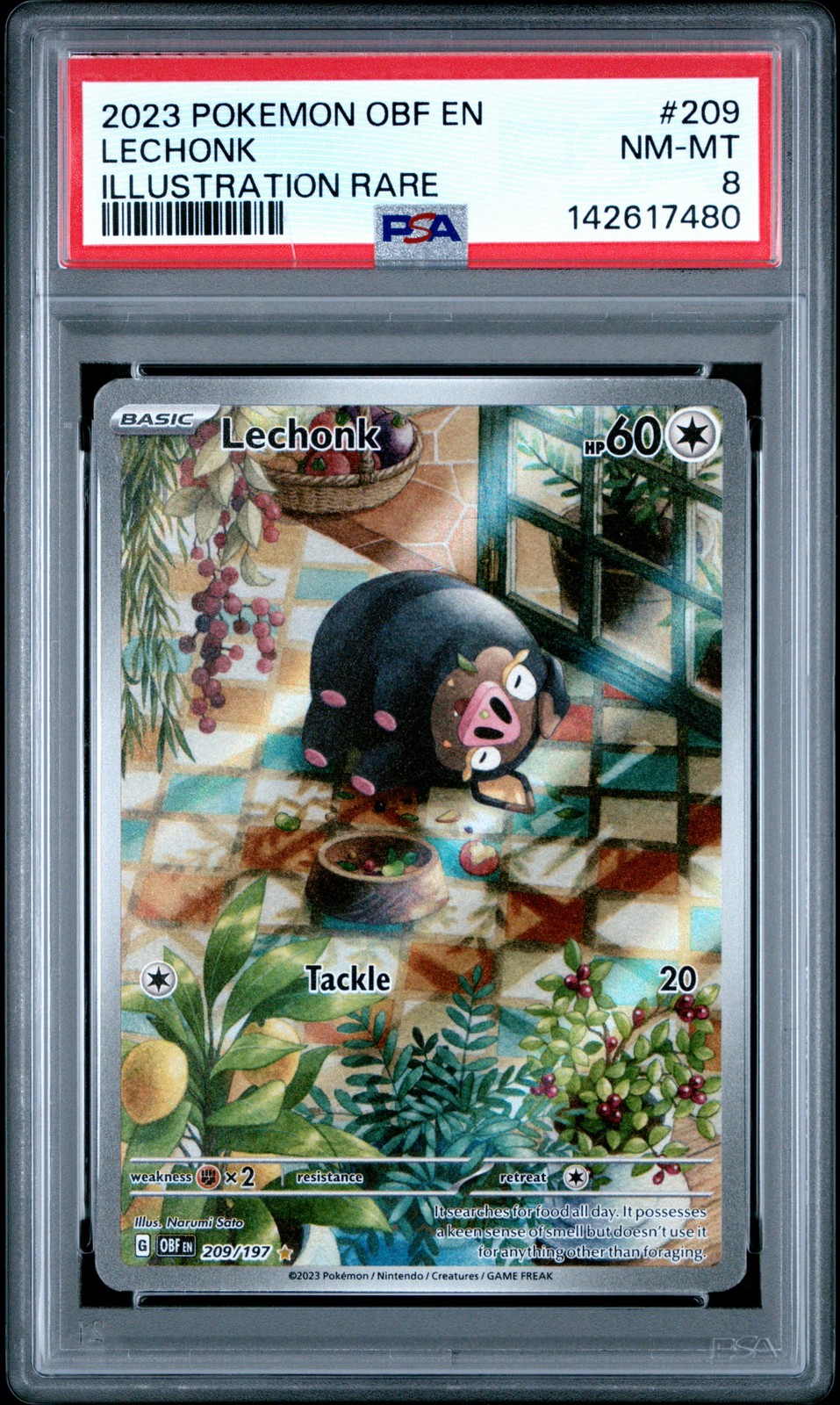 2023 POKEMON OBF EN-OBSIDIAN FLAMES ILLUSTRATION RARE #209 LECHONK PSA 8