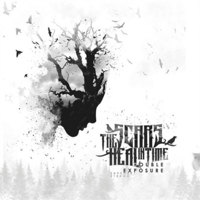 The Scars Heal in Time Double Exposure (CD) Album