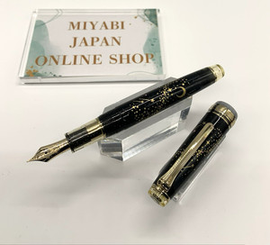 [Used] SAILOR Pro Gear Slim 2022 Limited ancora Ver. STARRY SKY 14K EF Nib Rare