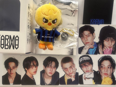 Stray Kids Skzoo KARMA BbokAri Felix Plüschpuppe Spielzeug Offizielle K-POP J...
