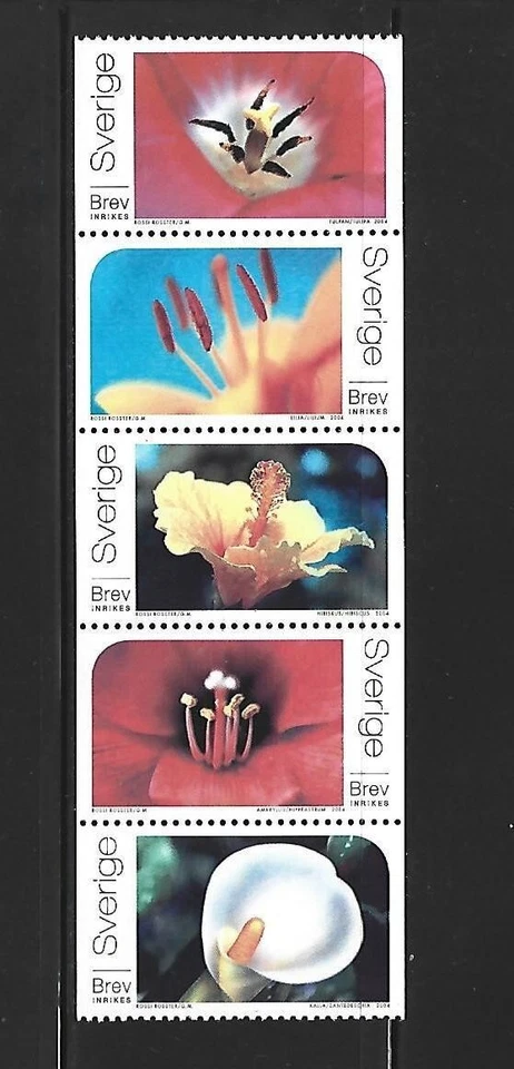 SUECIA. Año: 2004. Tema: FLORA. FLORES. - Imagen 1 de 1
