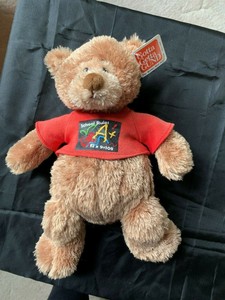 best teacher teddy bear