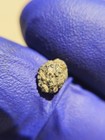 NWA 12564 Martian Meteorite 0.152g Mini Individual Rare Shergottite COA — photo 3