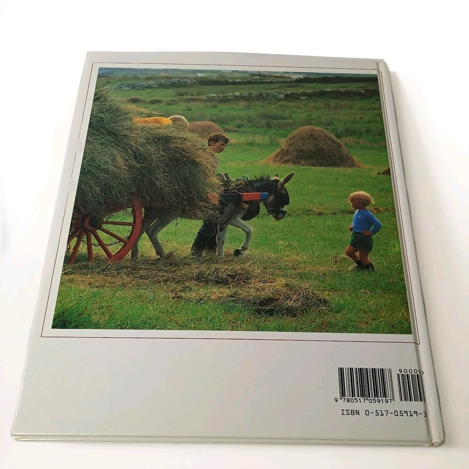 IRISH COOKBOOK: 1991 Crescent Books HC 37 Irish Recipes 75 Color Illustrations — 第 4/4 张图片