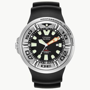 citizen watch diver