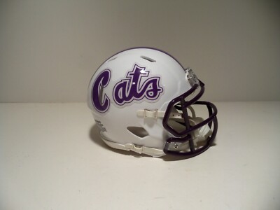 CUSTOM 1980 NORTHWESTERN WILDCATS MINI HELMET