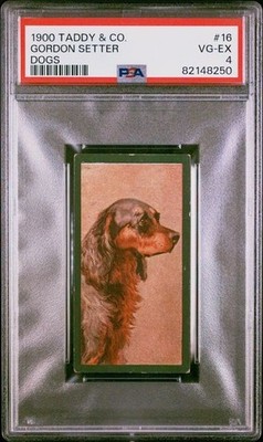 Gordon Setter 1900 Taddy & Co. Dogs #16 PSA 4 VG-EX Pop 2^1