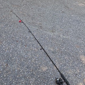 Daiwa RG703X3 Spinning Rod & Reel Combo Left Retrieve Light 2lb Freshwater