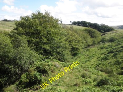 Foto 6x4 Tangs Bottom Simonsbath c2015