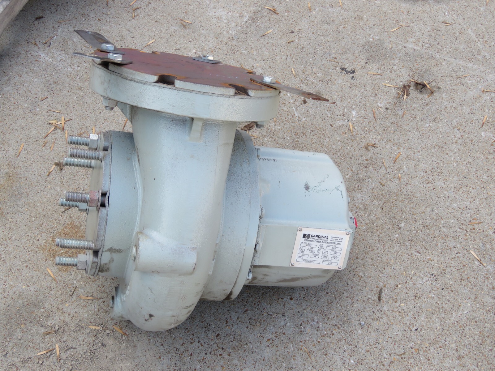 CARDINAL PUMP MODEL 31343 SIZE 4 X 6 NEW | eBay