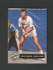 1991-92 Pro Set Platinum David Wheaton Celebrity Captain #294 Dallas Stars