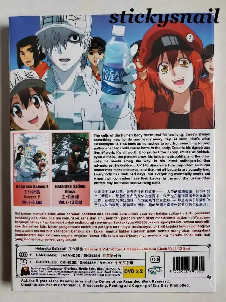 DVD Anime Hataraku Saibou /Cells at Work Complete Series (1-13) English  Subtitle