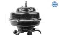 Meyle Motorlager 100 199 0021 FüR VW Golf Passat Jetta Seat 2 19E 1G1 1G2 165 B3