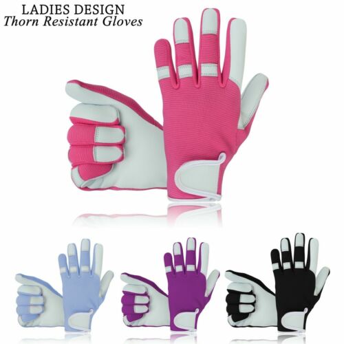 Thorn Proof Resistant Gloves Gardening Ladies Women Girls Work Mechanic Field UK - Picture 1 of 7